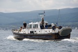 shelduck 110712 1688 tship11